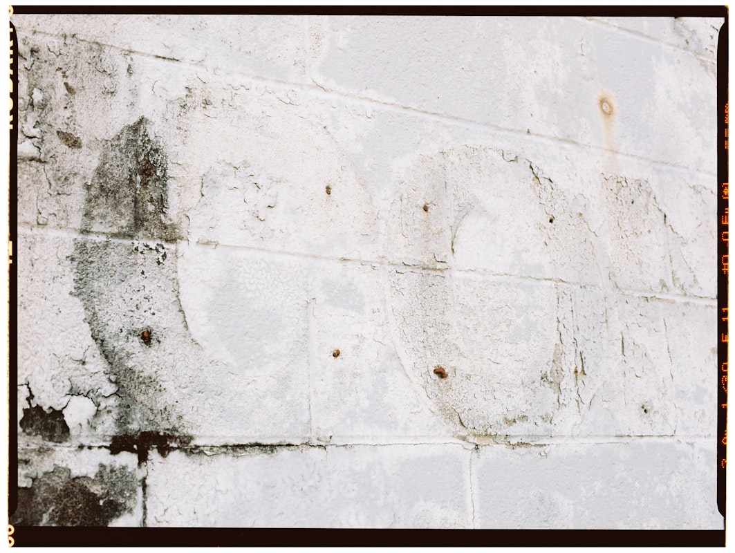 Mold Remediation service in Alameda, CA