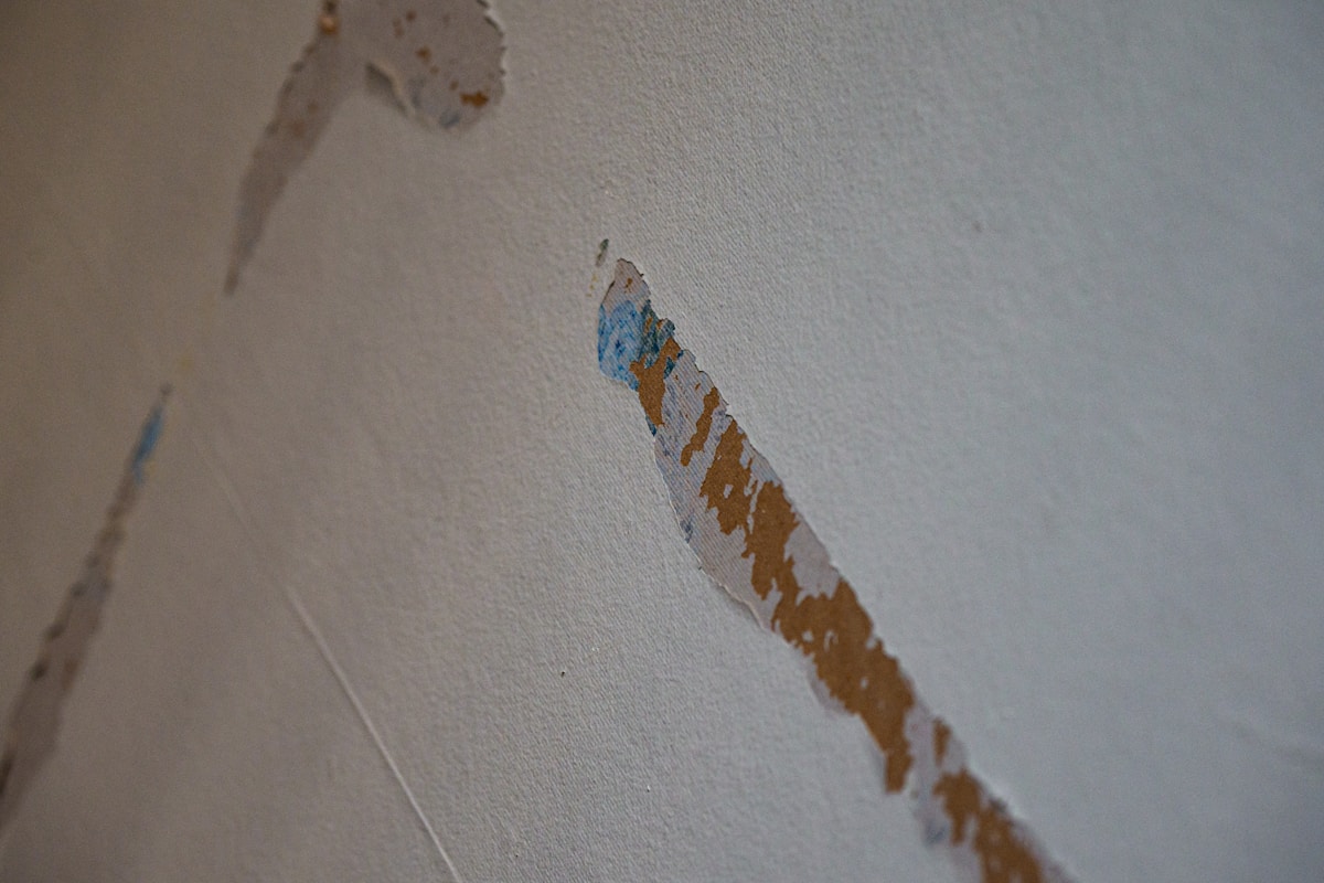 Storm Damage Repair service in Alameda, CA